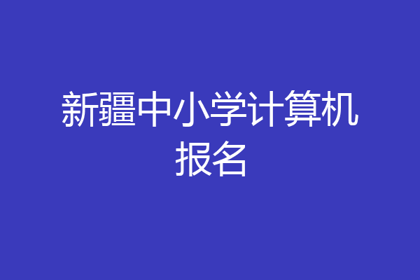新疆中小学计算机报名