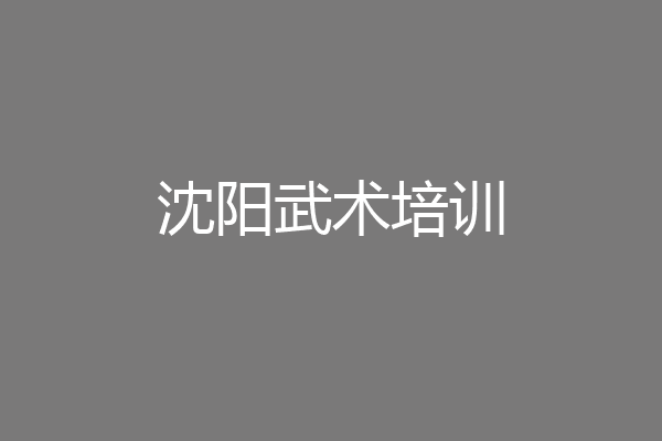 沈阳武术培训
