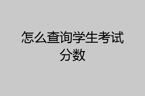 怎么查询学生考试分数