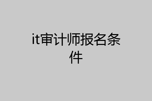 it审计师报名条件