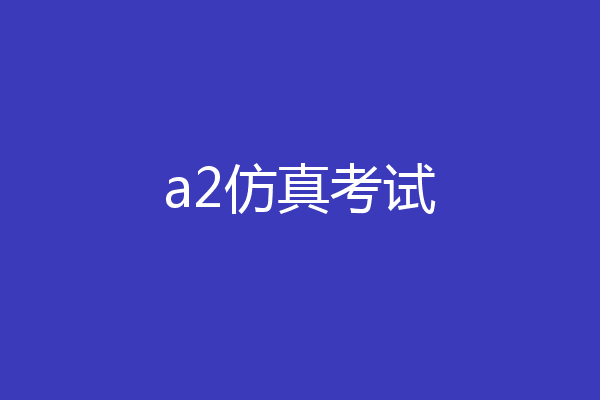 a2仿真考试