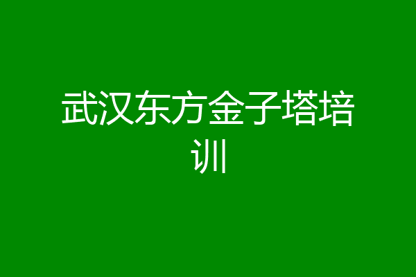 武汉东方金子塔培训
