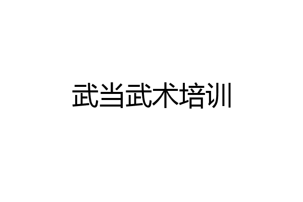 武当武术培训