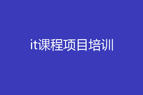 it课程项目培训