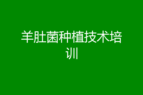 羊肚菌种植技术培训