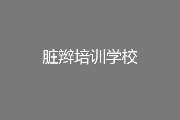 脏辫培训学校