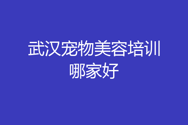 武汉宠物美容培训哪家好