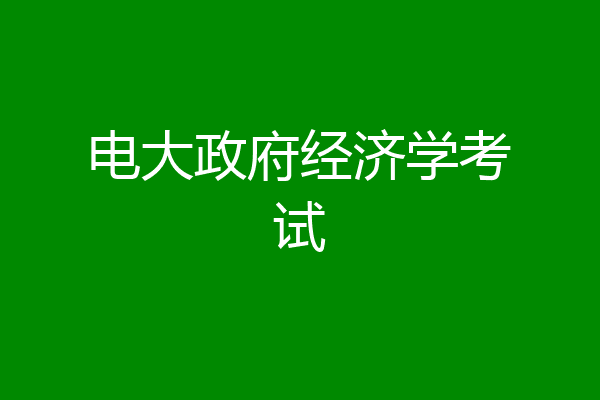 电大政府经济学考试