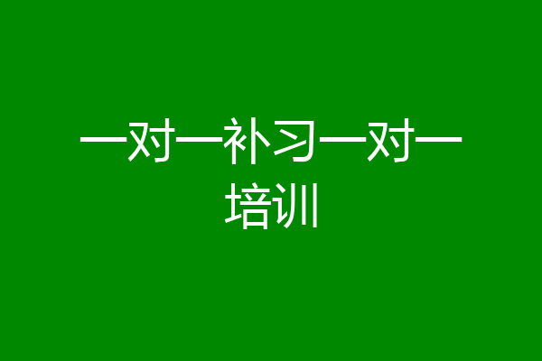 一对一补习一对一培训