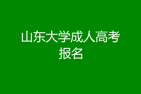 山东大学成人高考报名