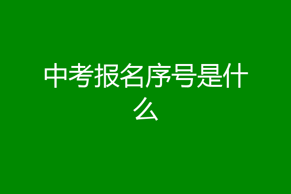 中考报名序号是什么