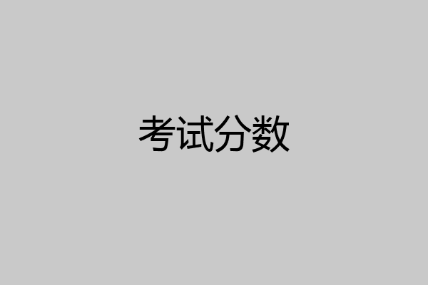 考试分数
