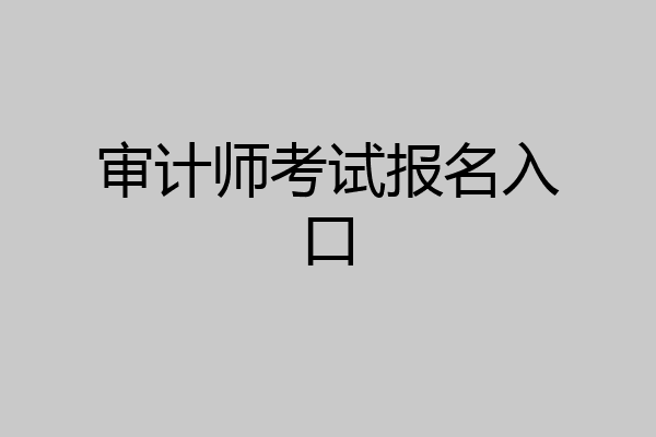 审计师考试报名入口