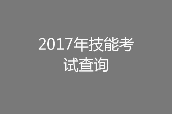 2017年技能考试查询