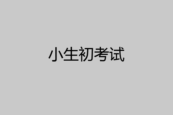 小生初考试