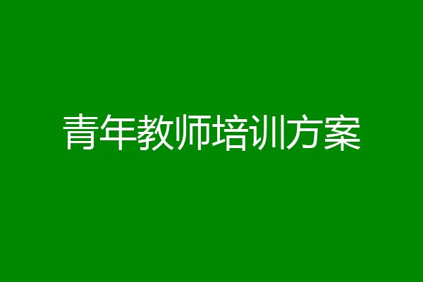 青年教师培训方案