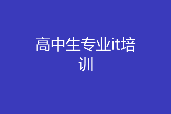 高中生专业it培训
