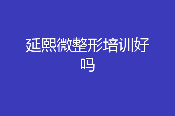 延熙微整形培训好吗