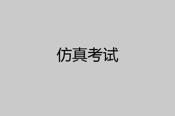 仿真考试