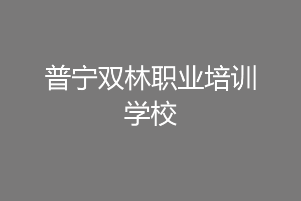 普宁双林职业培训学校