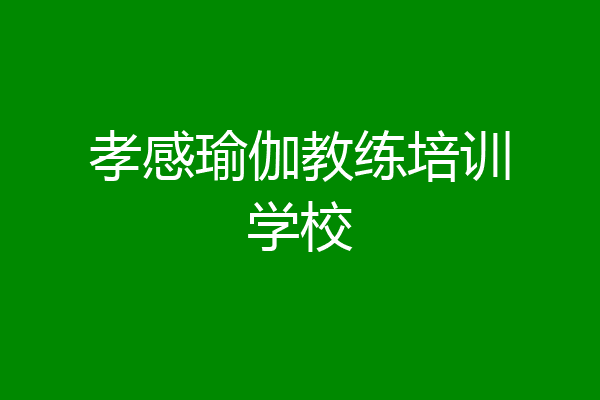 孝感瑜伽教练培训学校