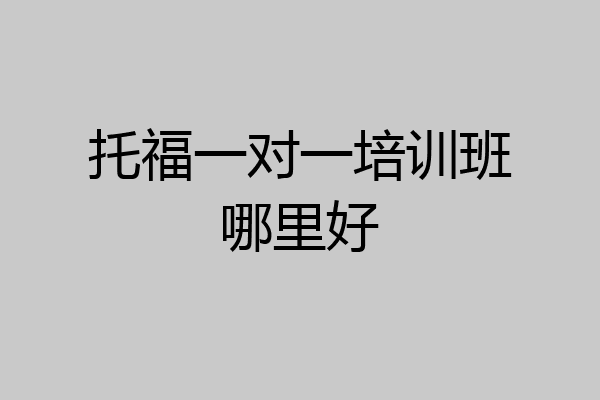 托福一对一培训班哪里好
