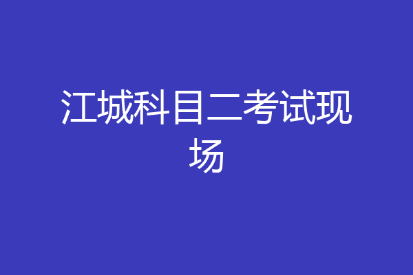 江城科目二考试现场