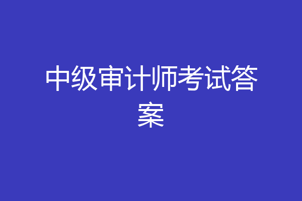 中级审计师考试答案