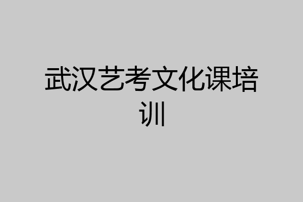 武汉艺考文化课培训