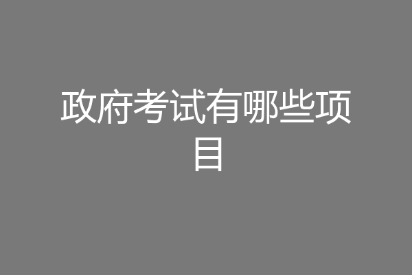 政府考试有哪些项目