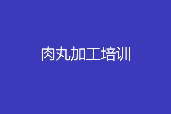 肉丸加工培训