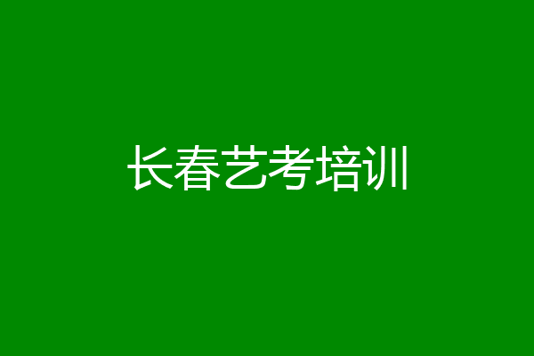 长春艺考培训