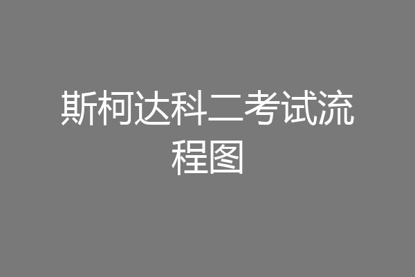 斯柯达科二考试流程图