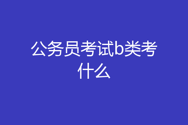 公务员考试b类考什么