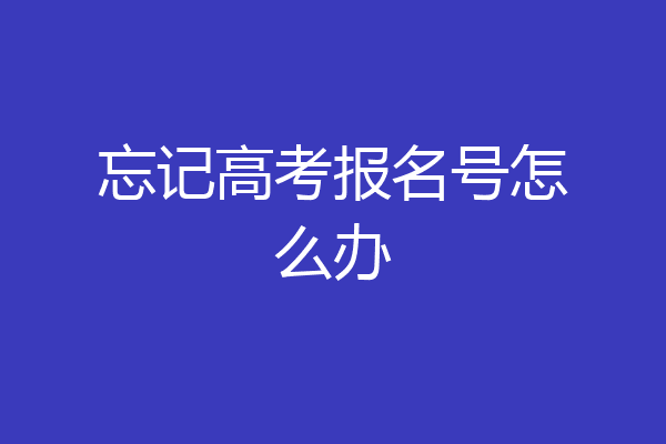 忘记高考报名号怎么办