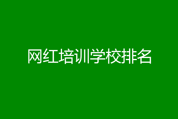 网红培训学校排名
