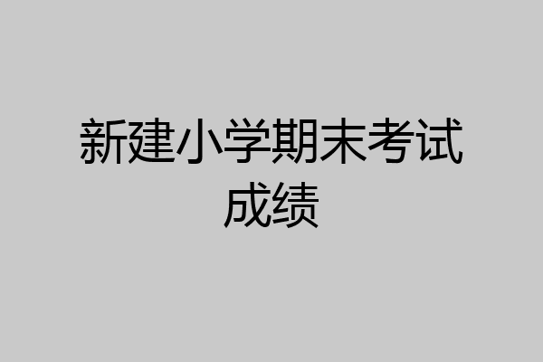 新建小学期末考试成绩