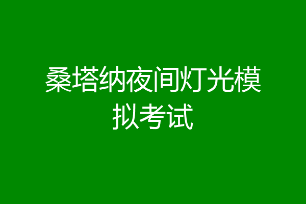 桑塔纳夜间灯光模拟考试