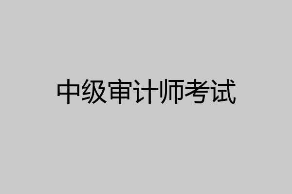中级审计师考试