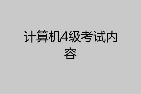 计算机4级考试内容