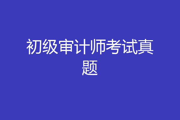 初级审计师考试真题