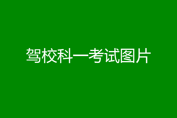 驾校科一考试图片