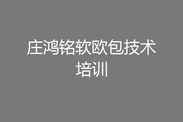 庄鸿铭软欧包技术培训