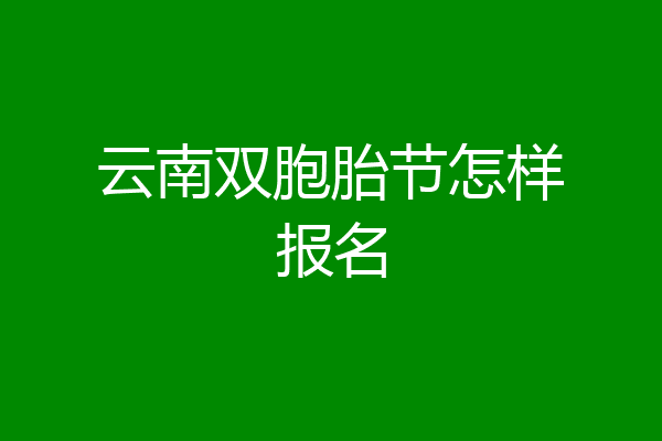 云南双胞胎节怎样报名