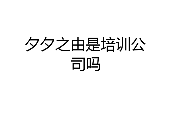 夕夕之由是培训公司吗