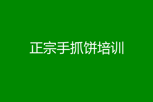 正宗手抓饼培训