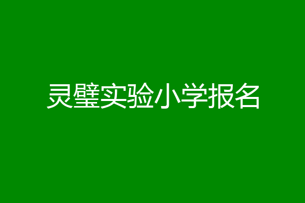 灵璧实验小学报名
