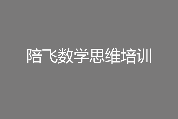 陪飞数学思维培训