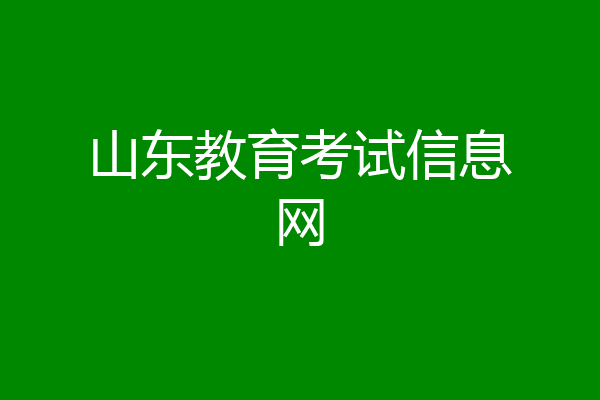 山东教育考试信息网