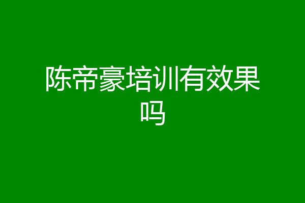 陈帝豪培训有效果吗